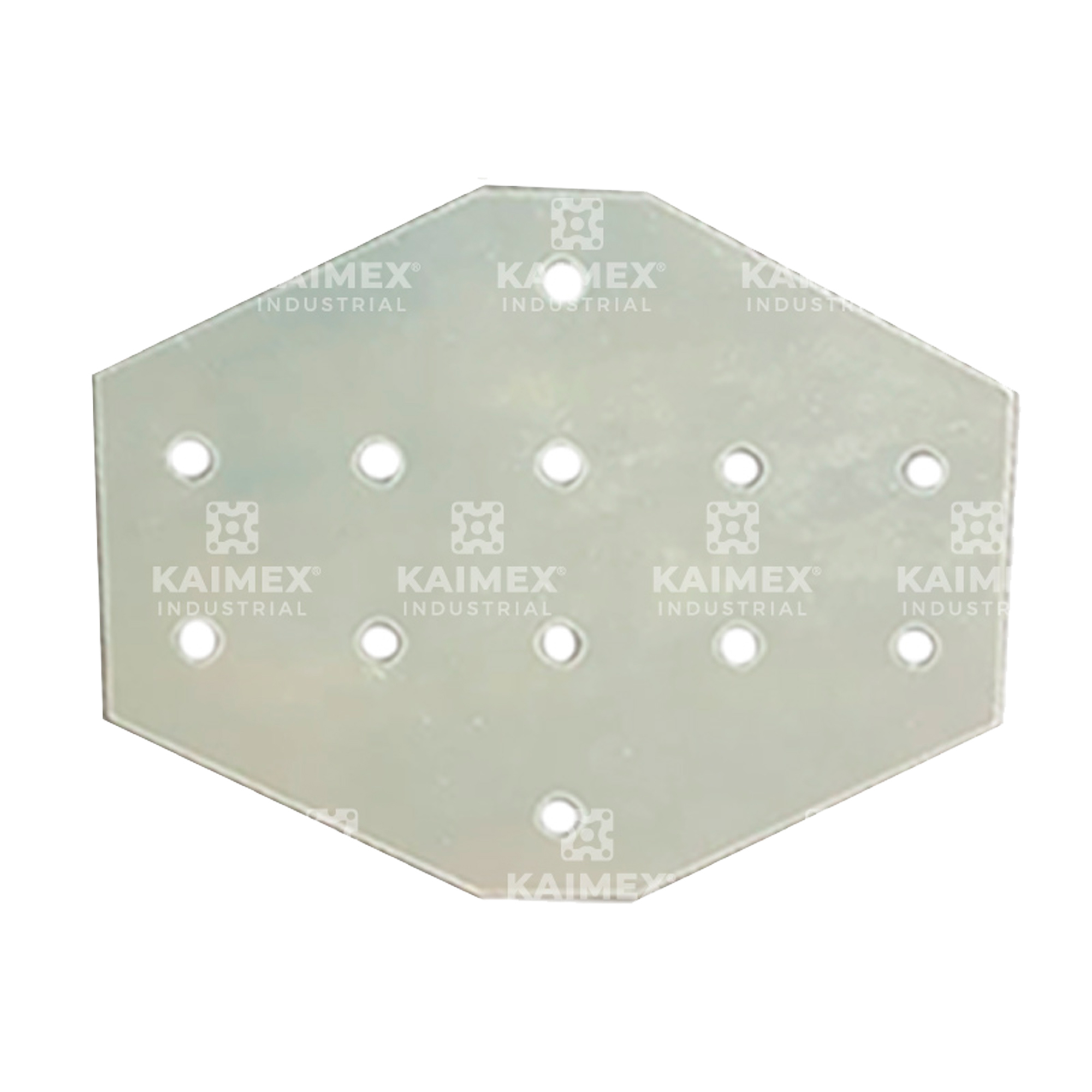 Placa fijacion reforzada